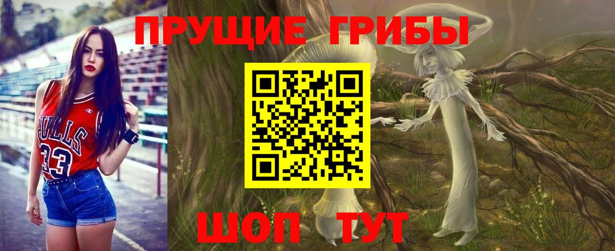 Галлюциногенные грибы Cubensis Батайск
